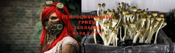эйфоретик Абдулино