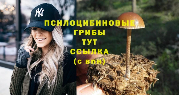 эйфоретик Абдулино