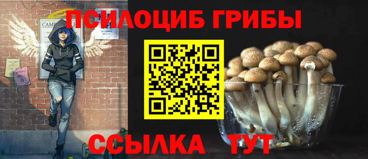 Псилоцибиновые грибы ЛСД Зеленогорск