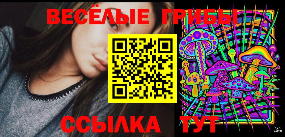 купить наркоту  Галлюциногенные грибы Cubensis  Вход с VPN  Галлюциногенные грибы Cubensis  Зеленогорск 