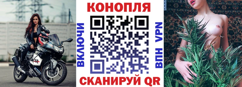 купить закладку Зеленогорск МАРИХУАНА марихуана